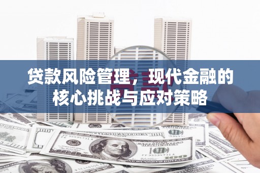 盐埔贷款风险管理，现代金融的核心挑战与应对策略