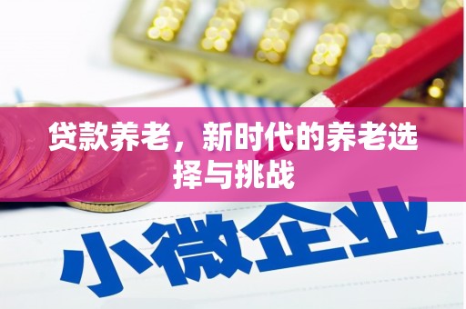 盐埔贷款养老，新时代的养老选择与挑战