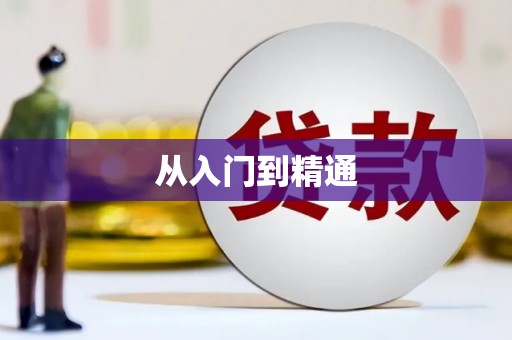 盐埔从入门到精通
