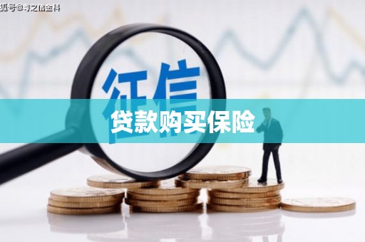 盐埔贷款购买保险