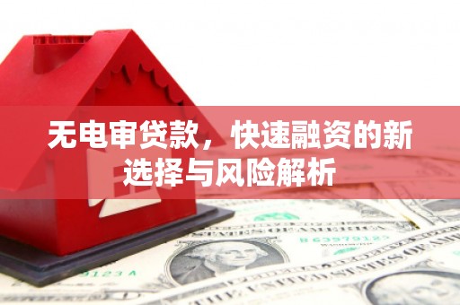 盐埔无电审贷款，快速融资的新选择与风险解析