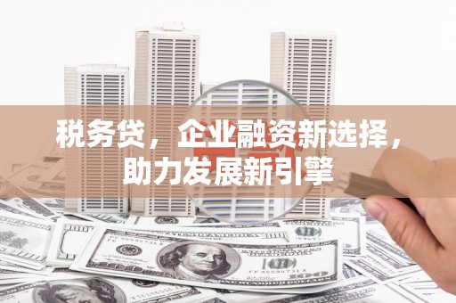 盐埔税务贷，企业融资新选择，助力发展新引擎