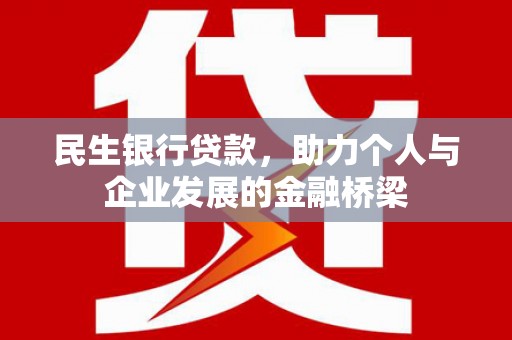 盐埔民生银行贷款，助力个人与企业发展的金融桥梁