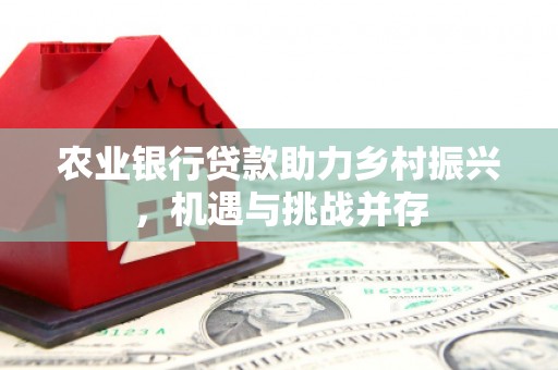 盐埔农业银行贷款助力乡村振兴，机遇与挑战并存