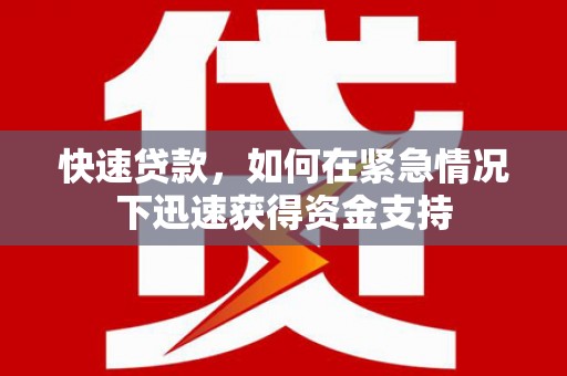 盐埔快速贷款，如何在紧急情况下迅速获得资金支持
