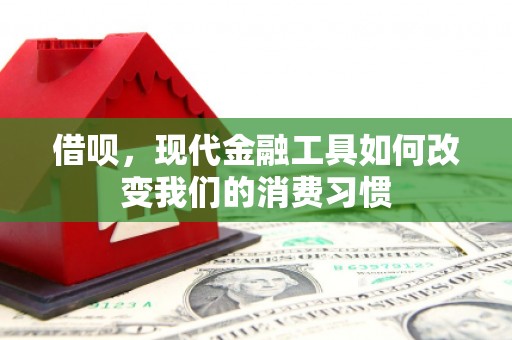 盐埔借呗，现代金融工具如何改变我们的消费习惯