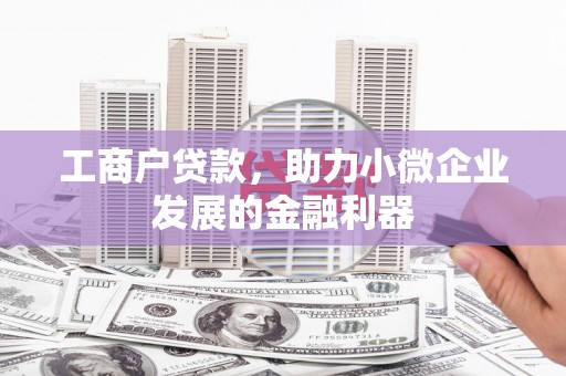 盐埔工商户贷款，助力小微企业发展的金融利器