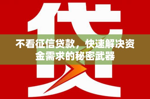 盐埔不看征信贷款，快速解决资金需求的秘密武器