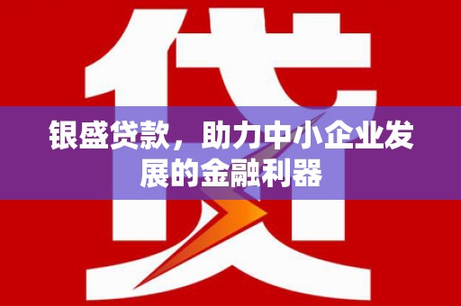 盐埔银盛贷款，助力中小企业发展的金融利器