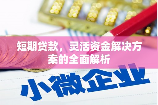 盐埔短期贷款，灵活资金解决方案的全面解析
