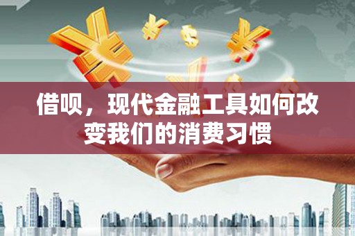 盐埔借呗，现代金融工具如何改变我们的消费习惯
