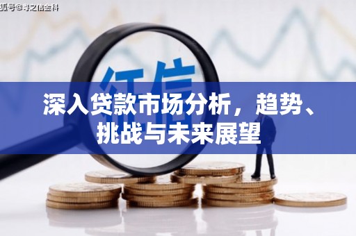盐埔深入贷款市场分析，趋势、挑战与未来展望