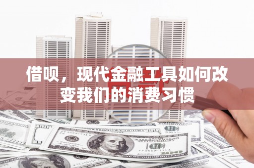 盐埔借呗，现代金融工具如何改变我们的消费习惯