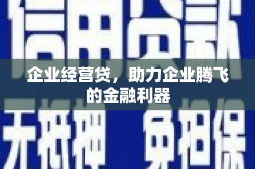 盐埔企业经营贷，助力企业腾飞的金融利器
