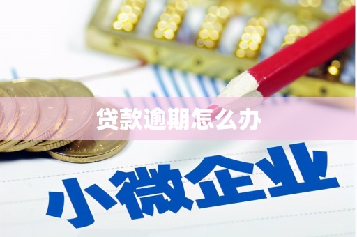 盐埔贷款逾期怎么办