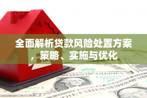 盐埔全面解析贷款风险处置方案，策略、实施与优化