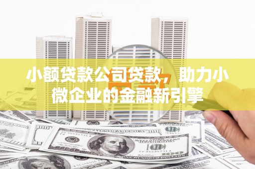盐埔小额贷款公司贷款，助力小微企业的金融新引擎