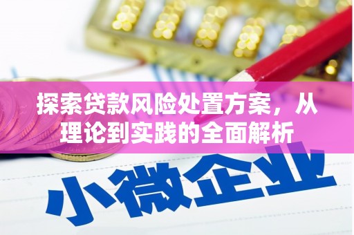 盐埔探索贷款风险处置方案，从理论到实践的全面解析