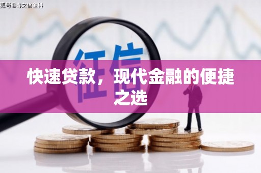 盐埔快速贷款，现代金融的便捷之选