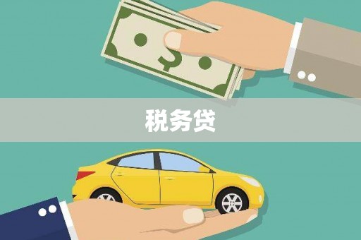 盐埔税务贷