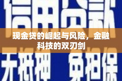 盐埔现金贷的崛起与风险，金融科技的双刃剑