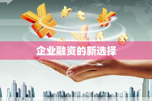 盐埔企业融资的新选择