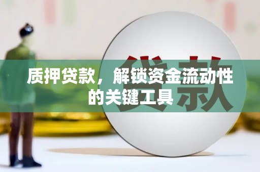 盐埔质押贷款，解锁资金流动性的关键工具