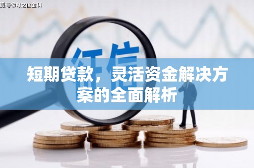 盐埔短期贷款，灵活资金解决方案的全面解析