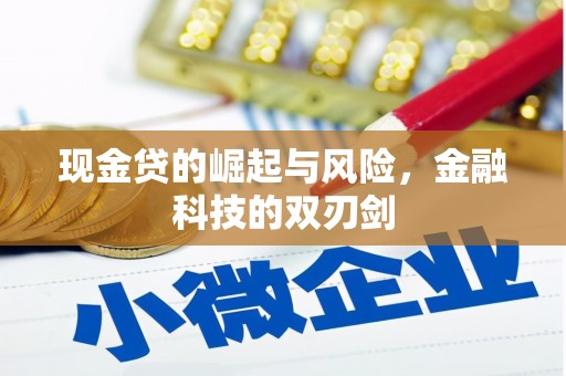 盐埔现金贷的崛起与风险，金融科技的双刃剑