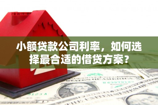盐埔小额贷款公司利率，如何选择最合适的借贷方案？