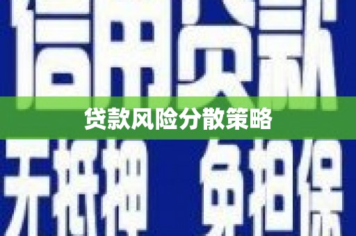 盐埔贷款风险分散策略
