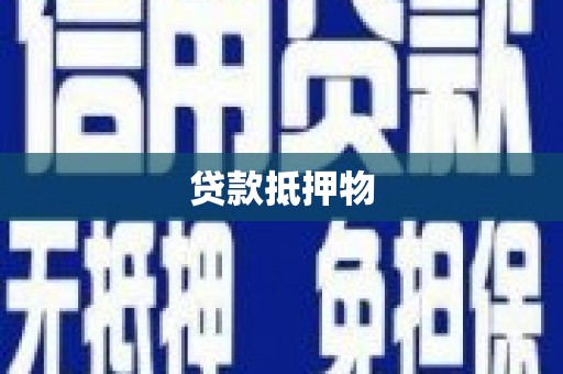 盐埔贷款抵押物