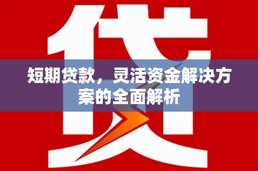 盐埔短期贷款，灵活资金解决方案的全面解析