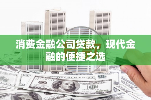 盐埔消费金融公司贷款，现代金融的便捷之选