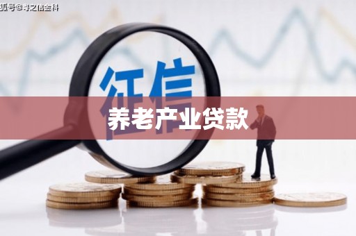 盐埔养老产业贷款