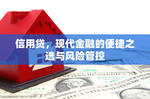 盐埔信用贷，现代金融的便捷之选与风险管控