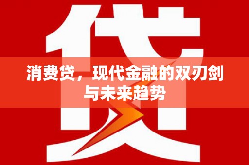 盐埔消费贷，现代金融的双刃剑与未来趋势