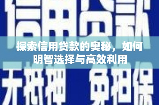 盐埔探索信用贷款的奥秘，如何明智选择与高效利用