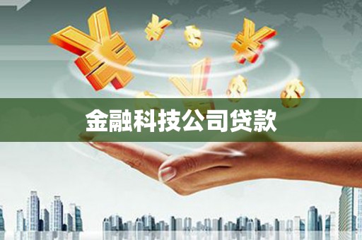 盐埔金融科技公司贷款