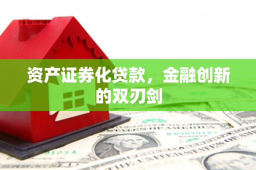 盐埔资产证券化贷款，金融创新的双刃剑