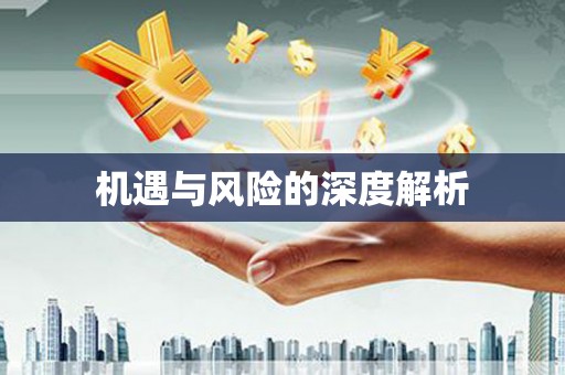 盐埔机遇与风险的深度解析