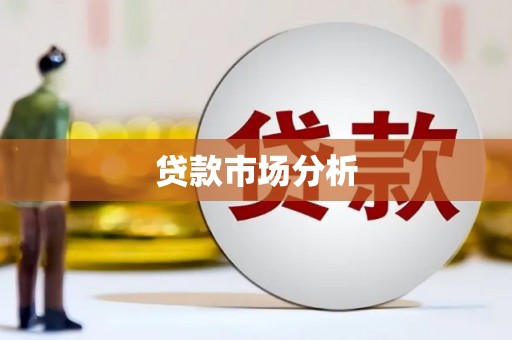 盐埔贷款市场分析