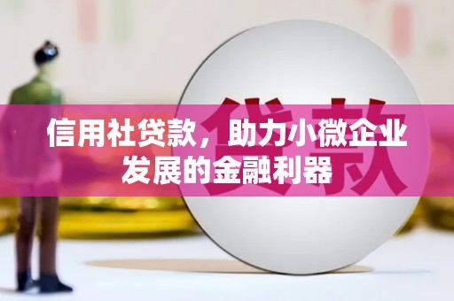 盐埔信用社贷款，助力小微企业发展的金融利器