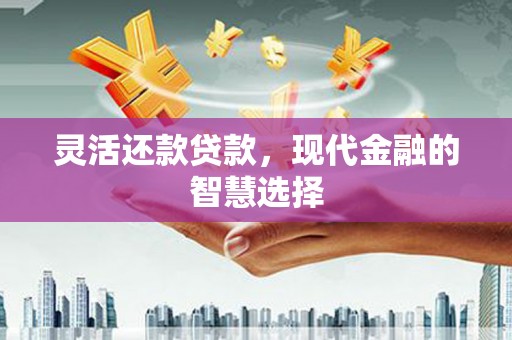 盐埔灵活还款贷款，现代金融的智慧选择