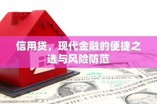 盐埔信用贷，现代金融的便捷之选与风险防范