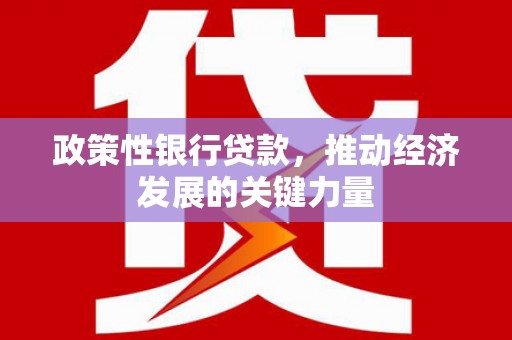 盐埔政策性银行贷款，推动经济发展的关键力量