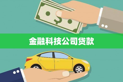 盐埔金融科技公司贷款