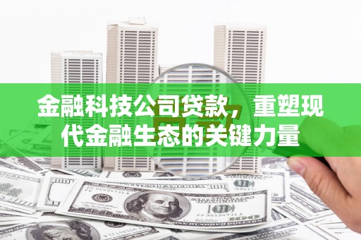 盐埔金融科技公司贷款，重塑现代金融生态的关键力量