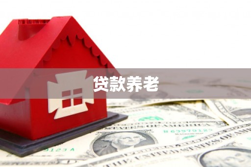 盐埔贷款养老