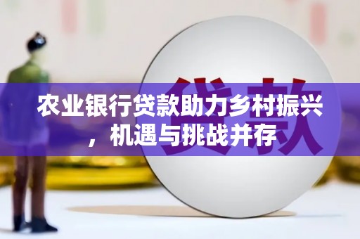盐埔农业银行贷款助力乡村振兴，机遇与挑战并存